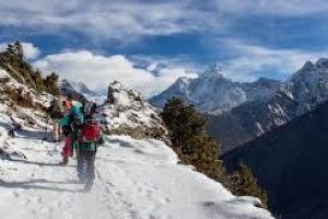 Himalayan.jpeg