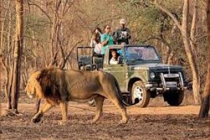 Wildlife.jpeg
